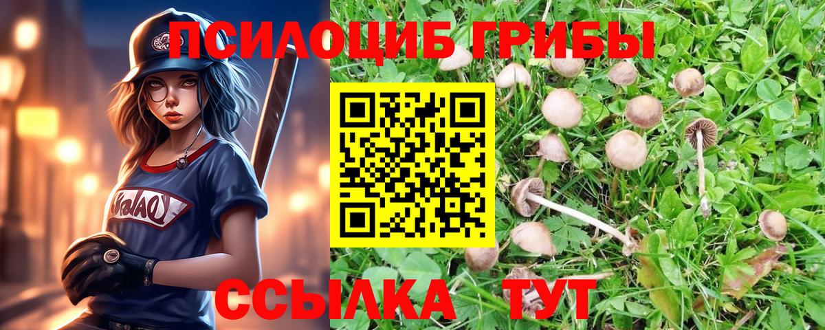 Грязи  Галлюциногенные грибы мицелий  Вход с VPN 